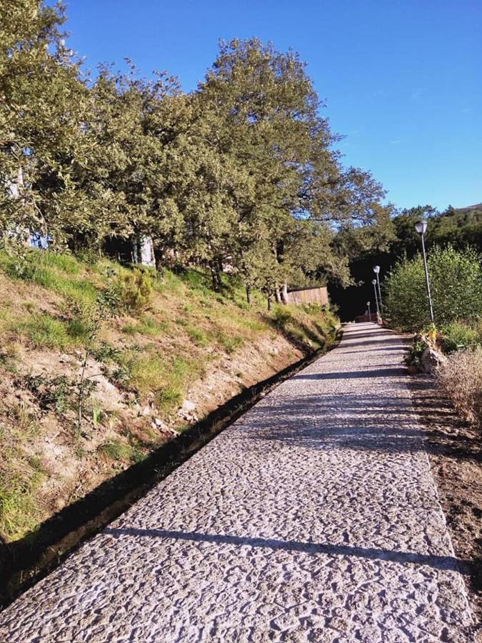 Ninho Da Avo Selvagem Villa Montalegre Buitenkant foto