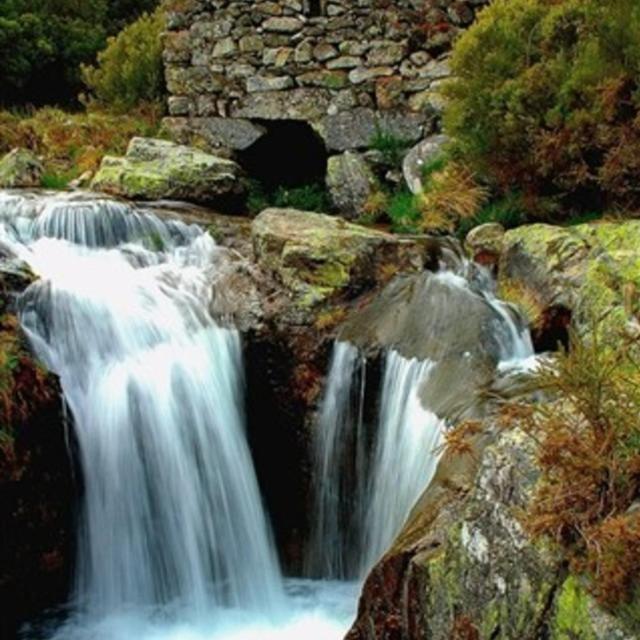 Ninho Da Avo Selvagem Villa Montalegre Buitenkant foto